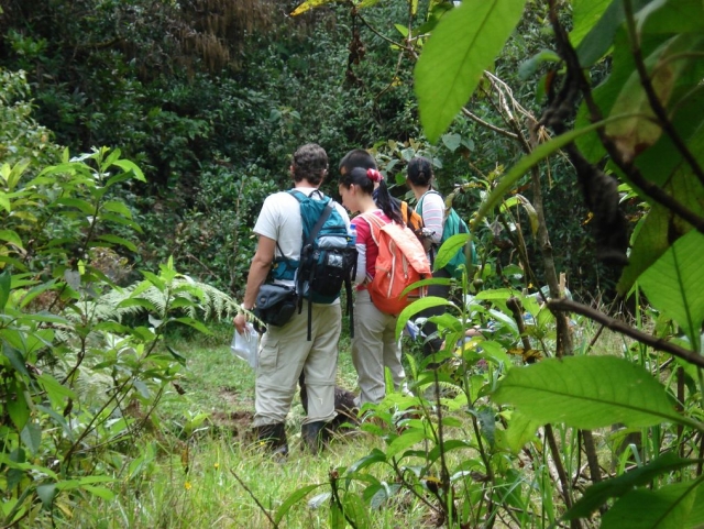 Consultando en mapa